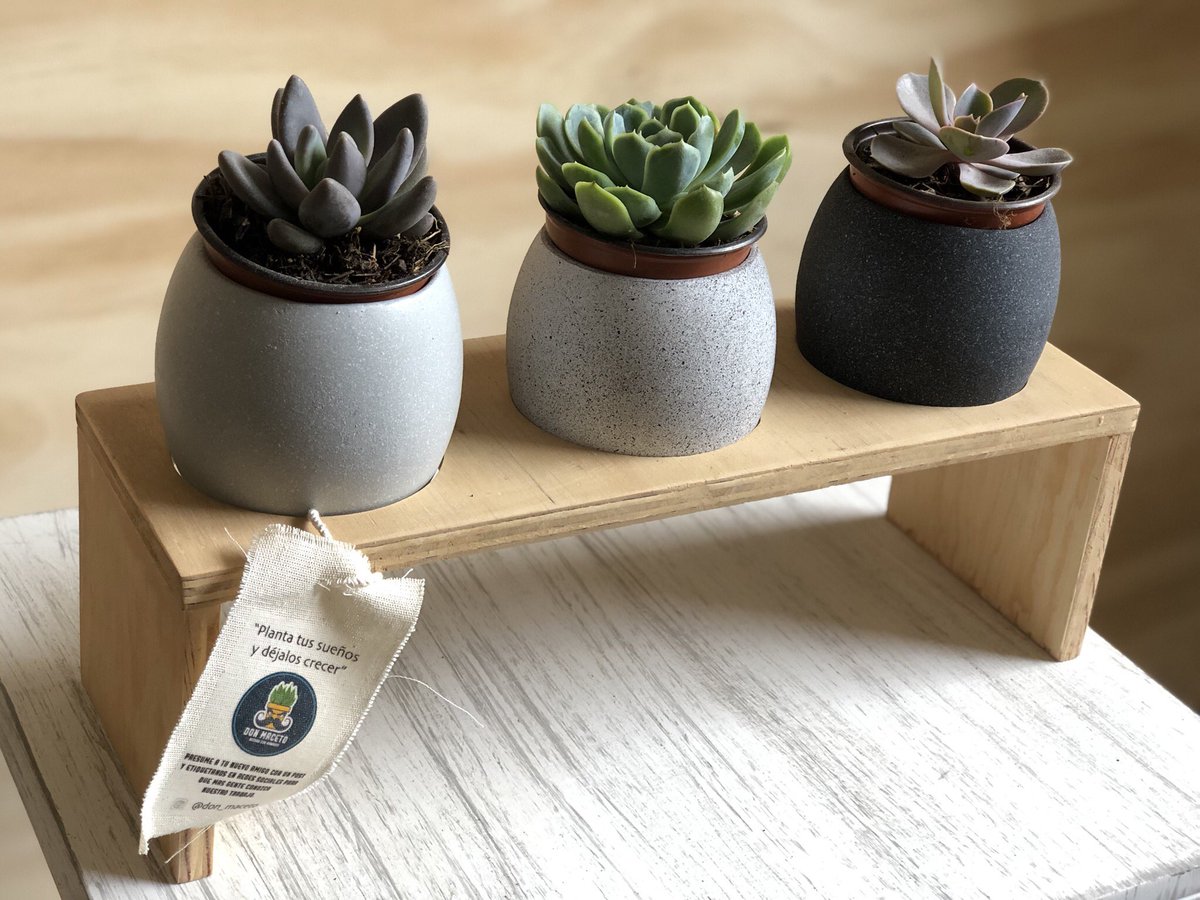 Buscas un regalo diferente? Algo para adornar tu hogar? Conoce a Don Maceto, expertos en diseños novedosos de macetas combinados con la belleza natural de las plantas.
Síguenos en IG: <a href="/don_maceto/">Don Maceto</a>
Nos regalan un RT <a href="/lacuauhtemoc/">Colonia Cuauhtémoc</a> <a href="/lajuarezDF/">Colonia Juárez CDMX</a> <a href="/Conexion_Juarez/">Conexion Col. Juarez</a> <a href="/DoctoresColonia/">Colonia Doctores</a>