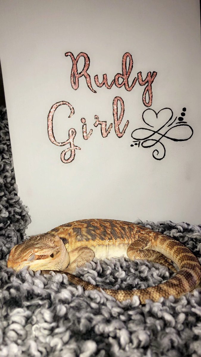 IssaKunkel's tweet photo. it’s a girl!! https://t.co/4i18hMcAex
