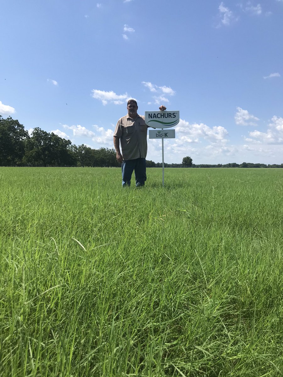 Brad79457759's tweet photo. Checking on some hay meadows with one of my dealers/customers Ed Sherrill with Sherrill Farms.  He uses #NACHURS #KFuel and #FinishLine on his hay meadows in order to increase his commercial hay production. His ROI is off the charts.  It’s so simple just ask us how!  #BioKBeene https://t.co/Bk9CKjTYDX