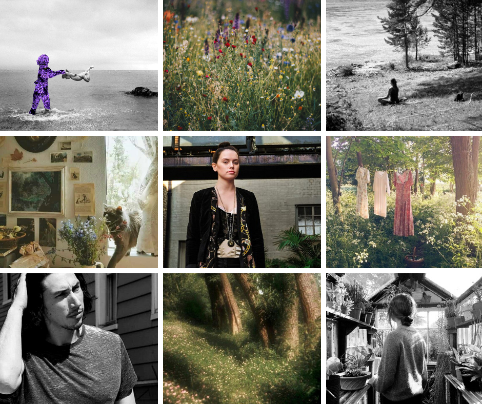 HouseReysistnce's tweet photo. come and find me (lying in the bed I made) by niennathegrey for a board by @AllFrak: By day, Rey meditates and trains and takes her meals with the Resistance. At night, Rey dreams of the meadow, and the cottage — and always, always, Ben. (rated T) https://t.co/uxsuIQYXXf https://t.co/zytpbR5hCt