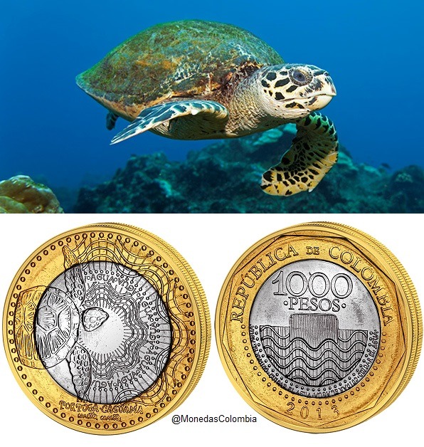 MonedasColombia's tweet image. Moneda de 1.000 Pesos, imagen de la tortuga caguama (Caretta caretta) especie marina altamente migratoria. El diseño de la moneda, a cargo del artista colombiano José Antonio Suárez, presenta unas líneas onduladas continuas en diversos niveles que representan ondas de agua.
