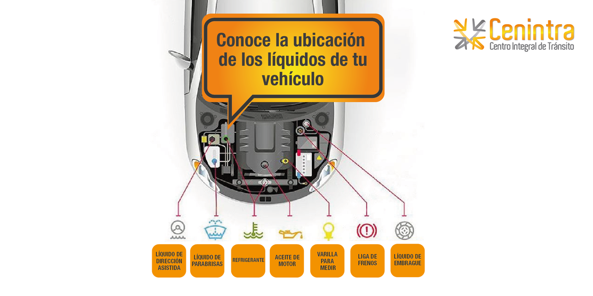 cenintra's tweet photo. Además del aceite y la gasolina, existen otros líquidos que son importantes para el correcto funcionamiento de tu vehículo.  Para evitar fallas mecánicas:
🔍Conoce dónde se ubican
👀 Revísalos periódicamente
 🛠️Comprueba sus niveles y el estado de las piezas que los contienen. https://t.co/ap6UH4cbP0