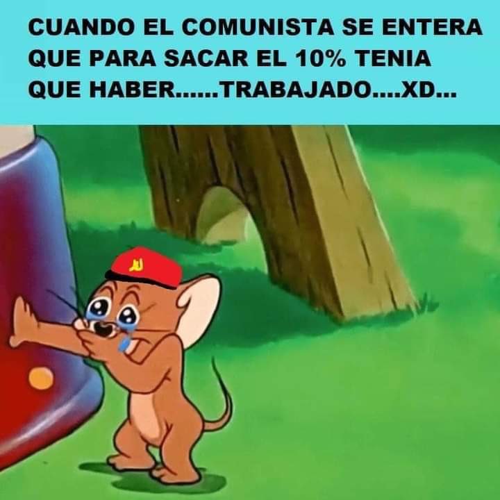 Sofíta Mora tweet media