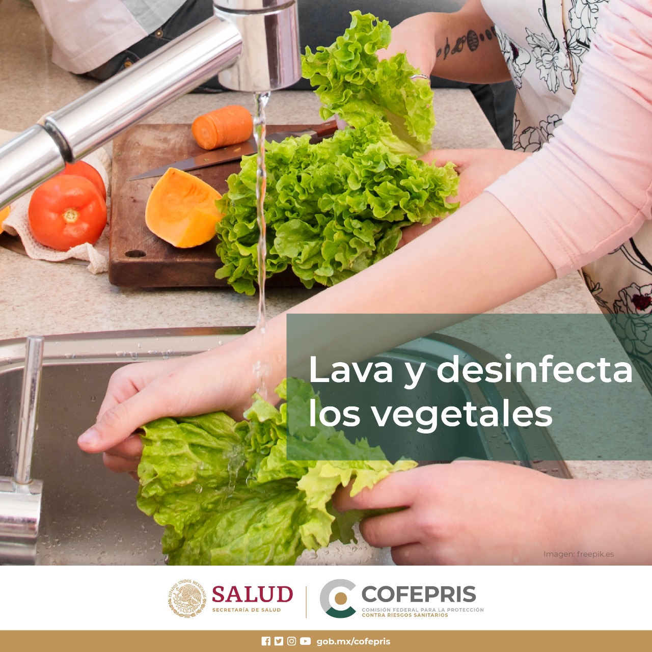 COFEPRIS On Twitter Procura Lavar Y Desinfectar Frutas Y Verduras Que 