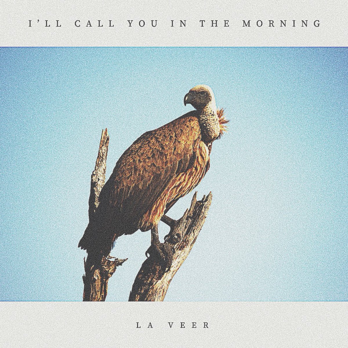 ŁÅ VĒĒR tweet media