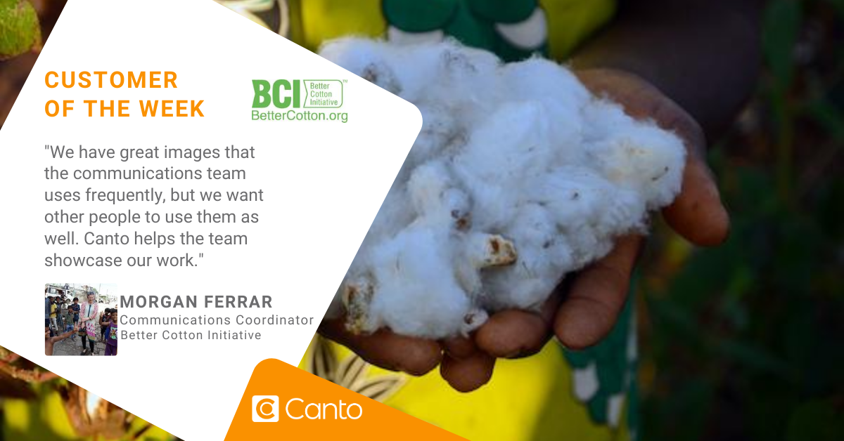 Canto's tweet photo. .@BCICotton works with cotton farmers and global brands to encourage sustainable cotton production. See how Canto helps the global communications team tell their story! #CustomeroftheWeek https://t.co/nc4TdOFA6P https://t.co/aUycVWKoXn