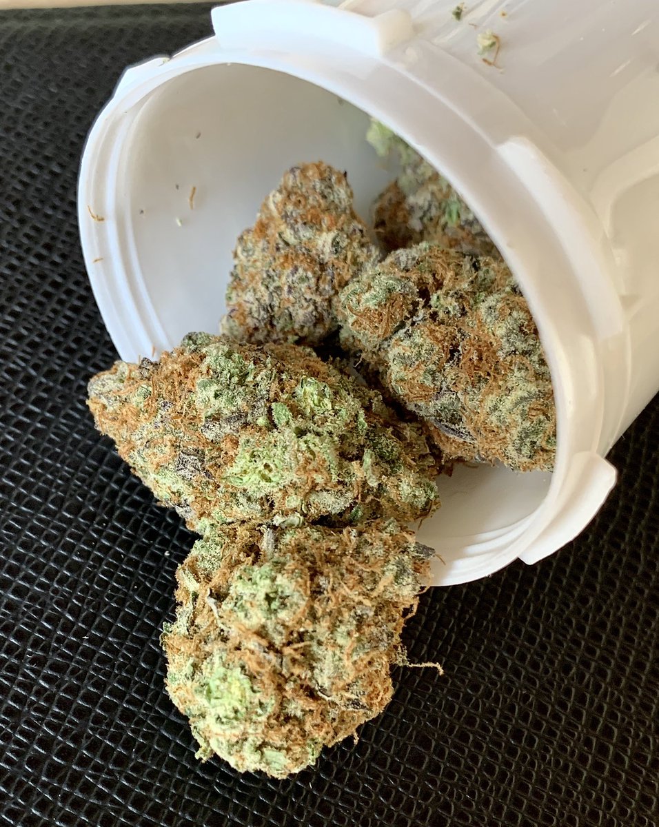 vain_sybil's tweet photo. Got this fire #sunsetsherbert @ChurchPacific today! 😍😍 #cannabisismedicine #stonergirls https://t.co/BqbFf2YqX2