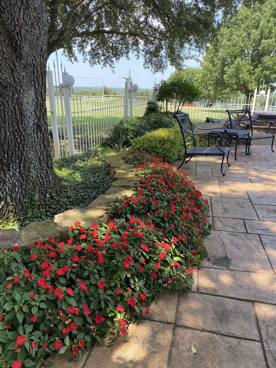 MasonHuntt's tweet photo. What an honor it was to for us to come out and provide our services to such a beautiful ranch. This job is definitely one for the books ! Y’all check out my business page on Facebook and drop a thumbs up! Would be greatly appreciated!🙏🏼  @huntoutdoorsolutions https://t.co/FuDaVNXtD1