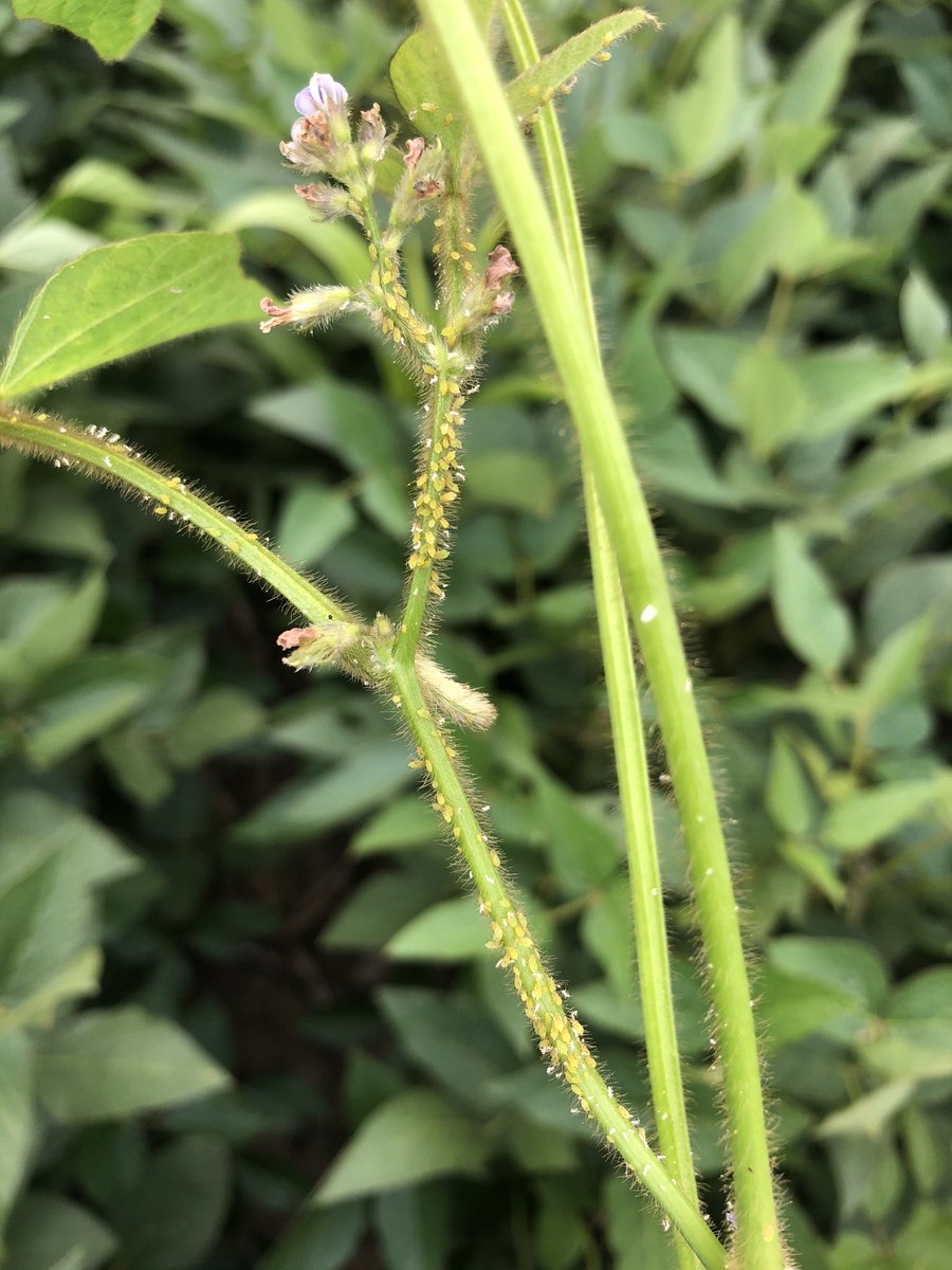 Ryan Bates tweet media