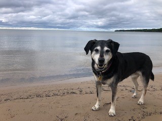 Hey #ILEdChat!  I’m Caroline Matkowski, Instructional Specialist in Addison School District 4.  This summer I had fun spending time outside with my dog and my niece and nephew.  #ASD4ALL  #ILEdChat