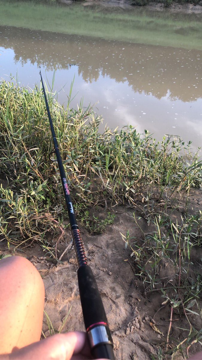 Picnic dinner, doing what we love (&amp; getting food for another picnic! Lol) #USESummer #StallionsDeserveIt