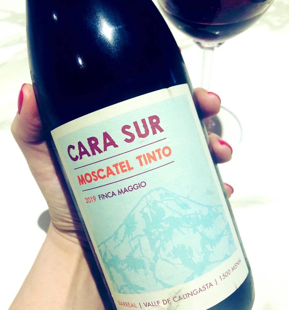 OzonoWines's tweet photo. Rico y jugoso Moscatel Tinto 🍷! #CaraSur #FincaMaggio #AntiLunes https://t.co/ciWTle7e1C