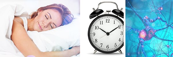 NEW WEBSITE ARTICLE - #Sleep to thrive: how your circadian rhythm is a vital part of your whole #health picture.

Read on here: bioceuticals.com.au/education/arti…

#BioCeuticals