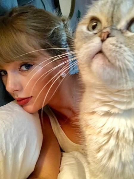 The richest cat in the worldTaylor Swift's cat, Olivia Benson, is the richest cat in the world, with $97 million dollars.