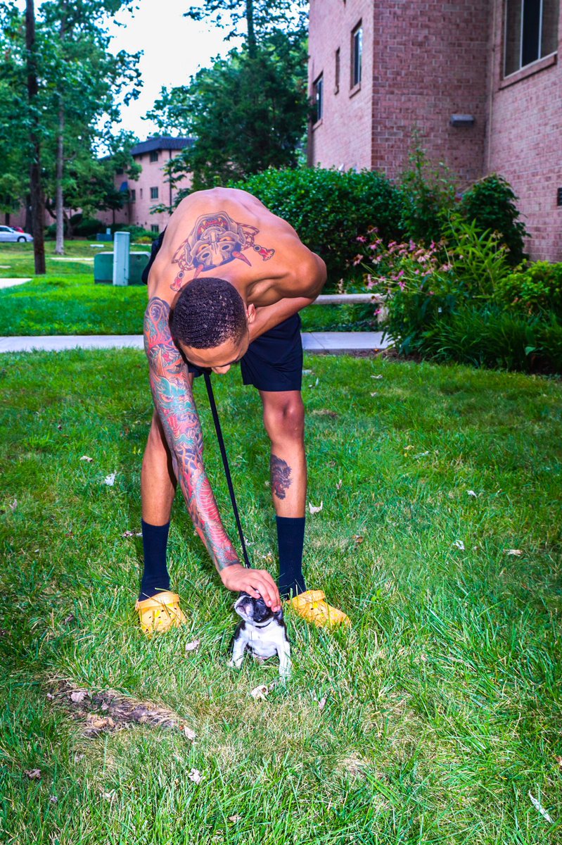 Breadrolle's tweet image. Just wanted to introduce the TL to my son Deebo