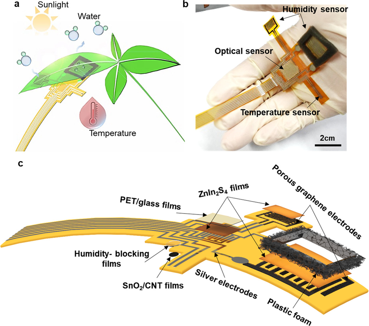 xu_kaichen's tweet photo. #Multimodal #Plant Healthcare #Flexible #Sensor System https://t.co/xwDxnEKnqE @FlexElectronics @acsnano https://t.co/CHXc7sVNe1