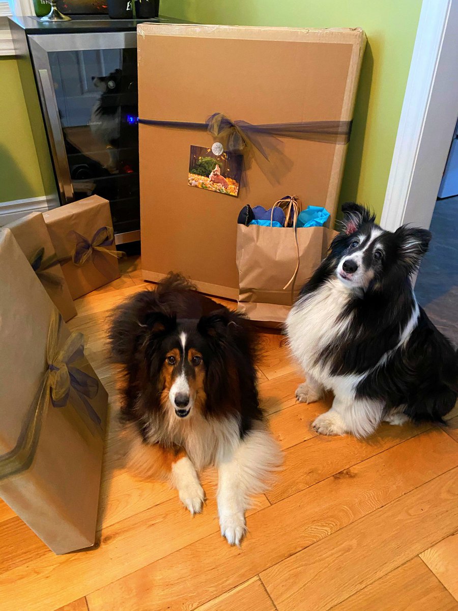 PoundingGrapes's tweet photo. Some goodies beautifully wrapped/delivered today by the awesome Karen Black - photographer extraordinaire and owner of @Indigopetphoto! ๐๐ท A teaser of one for now....more to follow soon ๐
#wine #winelover #vineyardphotography #niagarawinecountry #niagaradogs #shelties https://t.co/hjtcGHZFqL