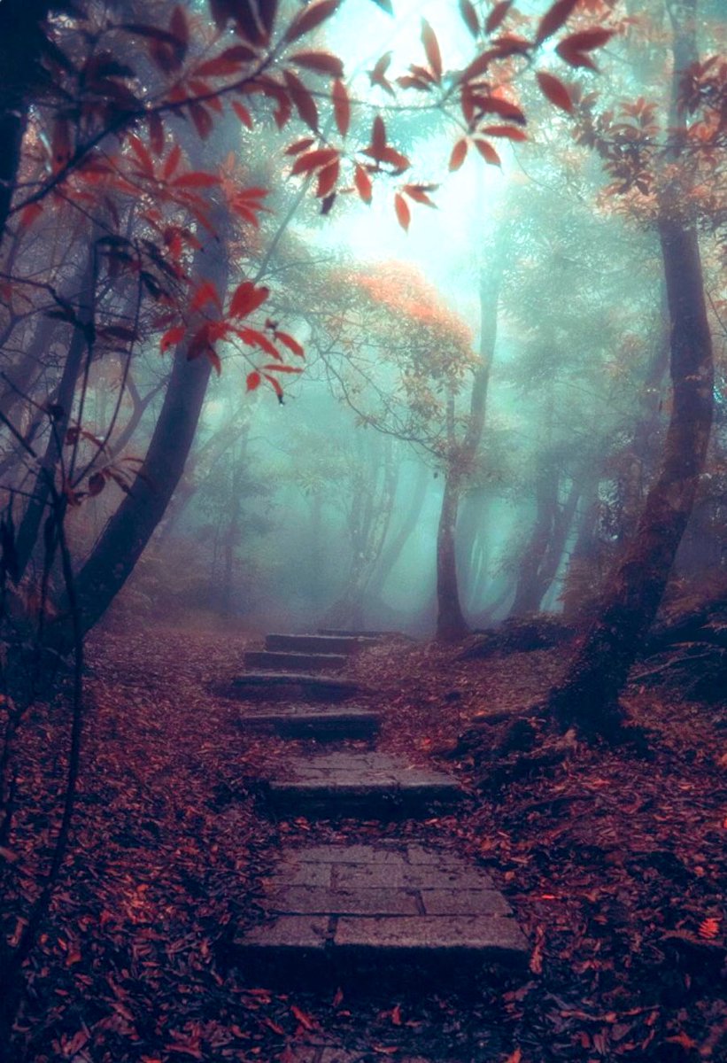yuzubestever02's tweet photo. 🟫🟫🟫
#path #stairs #steps
🌿@Khalid50601274
🌲@KristinLisaCar1
🌱@nounou2002 #Zurich #Switzerland🇨🇭
🌳https://t.co/KHb5rNeqBD #Butchart #Gardens
#Japanese #Victoria #Canada🇨🇦
#nature #landscape #photography #walking #forest
#SocialDistancing #StaySafe #coronavirus #COVID19 https://t.co/43rJLkmamf