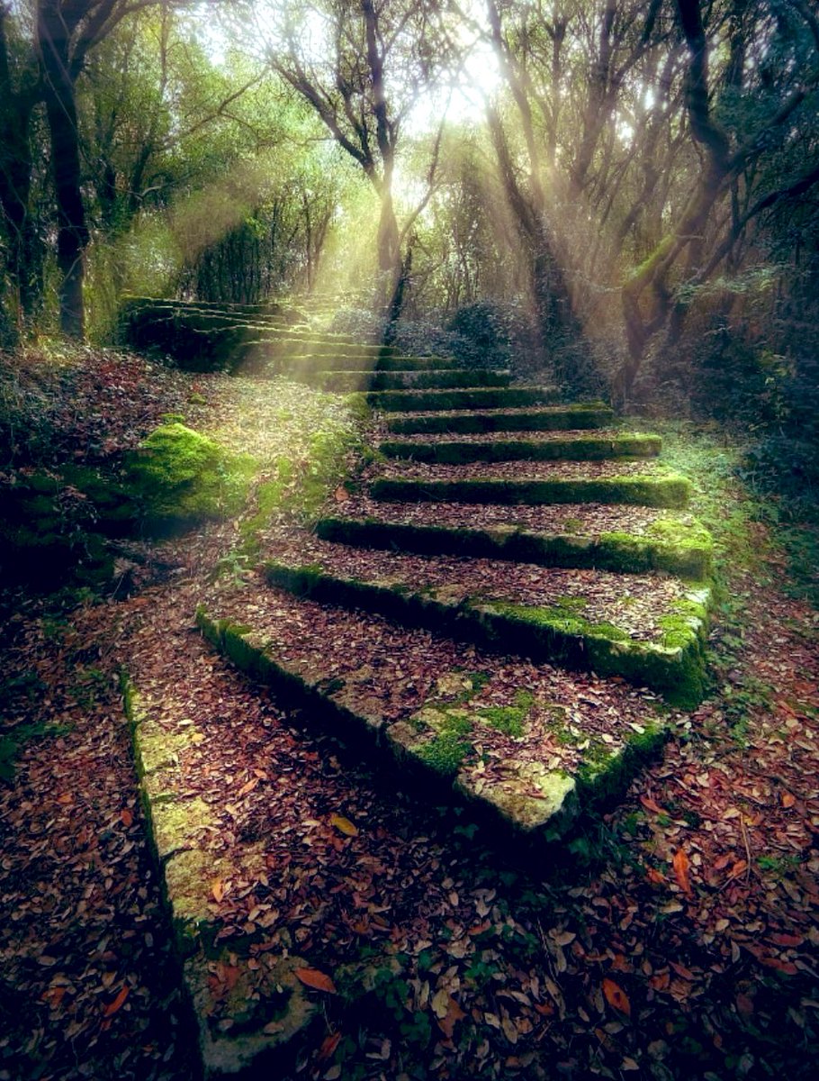 yuzubestever02's tweet photo. 🟫🟫🟫
#path #stairs #steps
🌿@Khalid50601274
🌲@KristinLisaCar1
🌱@nounou2002 #Zurich #Switzerland🇨🇭
🌳https://t.co/KHb5rNeqBD #Butchart #Gardens
#Japanese #Victoria #Canada🇨🇦
#nature #landscape #photography #walking #forest
#SocialDistancing #StaySafe #coronavirus #COVID19 https://t.co/43rJLkmamf