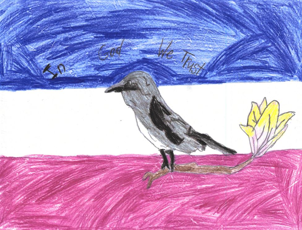 many of the Mockingbird flags appear to have come from youngsters, which is heartwarming (even if this kid may have accidentally been on the Clark's Nutcracker page of the field guide)