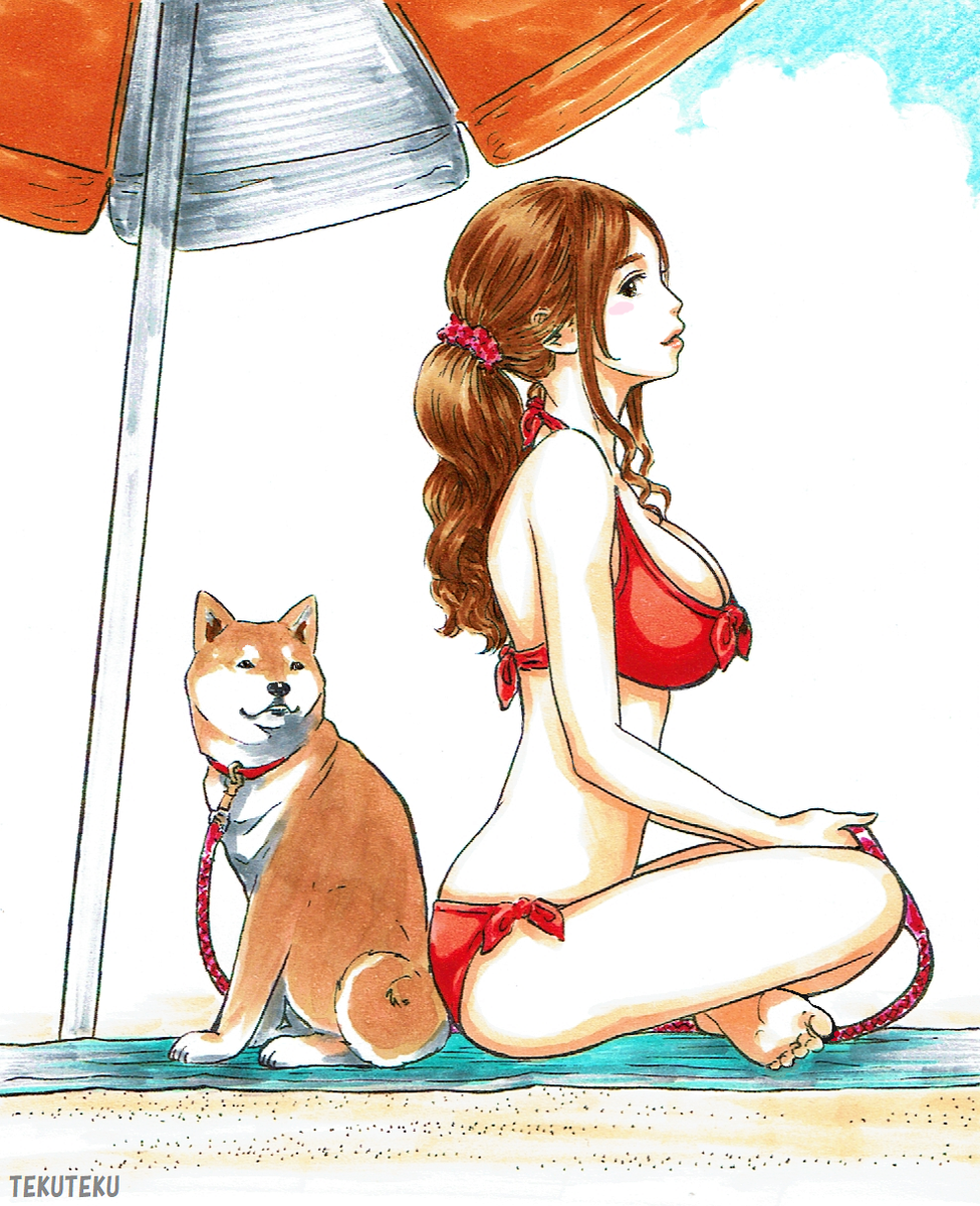 「てくてく犬描♪・夏の水着女子と #柴犬 わん♫ #illustration #オ」|TEKUTEKUのイラスト