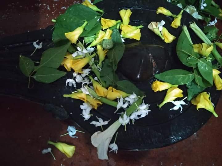 SRunnisaidpur's tweet photo. हर हर महादेव आपका दिन शुभमंगल हो🙏🙏🙏 4/8/2020
बाबा अद्भुत नाथ मंदिर #अन्हारी_धाम #रिगा_सीतामढ़ी 
#Anhari_Dham #sitamarhi https://t.co/IvLyRKPNxH