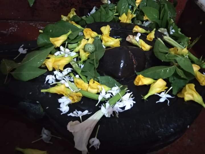 SRunnisaidpur's tweet photo. हर हर महादेव आपका दिन शुभमंगल हो🙏🙏🙏 4/8/2020
बाबा अद्भुत नाथ मंदिर #अन्हारी_धाम #रिगा_सीतामढ़ी 
#Anhari_Dham #sitamarhi https://t.co/IvLyRKPNxH