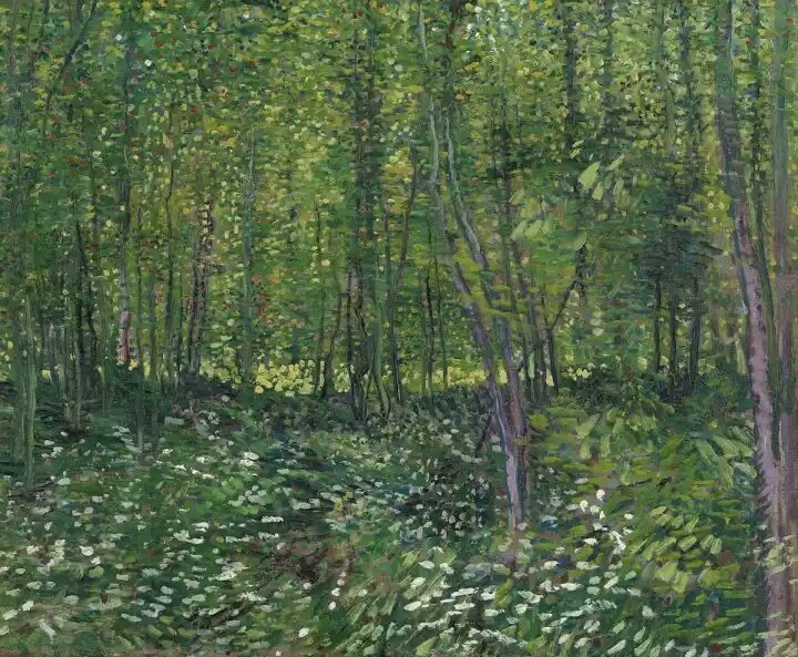 the woods by vincent van gogh