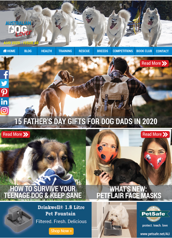 OzDogLover's tweet photo. #AustralianDogLoverMagazine Aug 2020 No.60 is📥! 
15 #FathersDay Gifts​🎁, How to Survive a Teenage #Dog, Weight Management ⚖️🐶&amp; Natural Diet, Ingrid &amp; #GuideDog Banner's Story, Win🎁#RascalPets Blankets, Reviews: #Glyde &amp; #DoggyHampers, New: #Petflair...
https://t.co/QL2a83LzOm https://t.co/RnnY8nsYRs