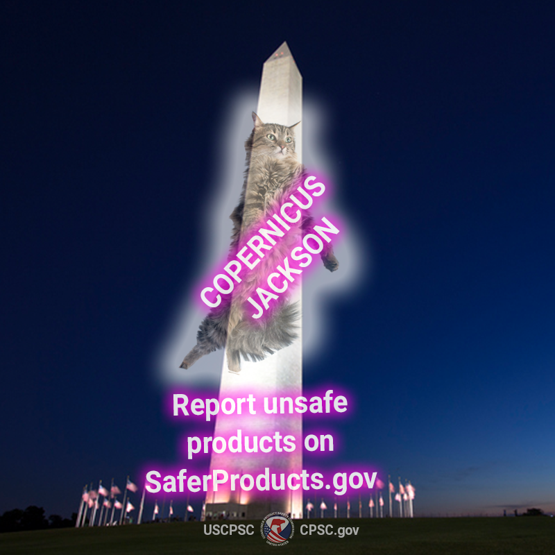 A cat named copernicus jackson projection mapped on the washington monument. The text reads - Report unsafe products on SaferProducts.gov