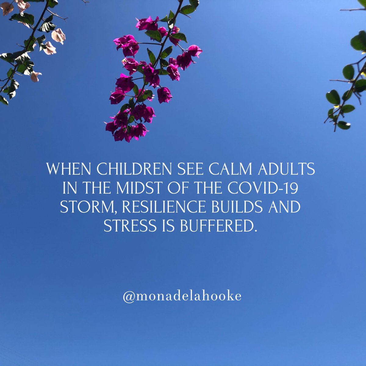 Mrs. Bartlett (@mrsbartlett_ams) on Twitter photo 