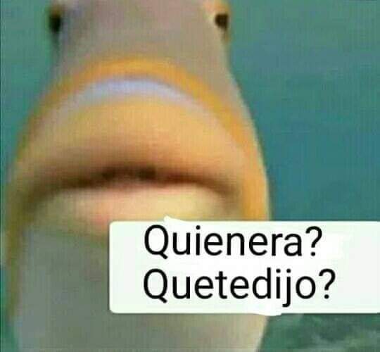 *Mi mamá termina de hablar por teléfono*
Yo: