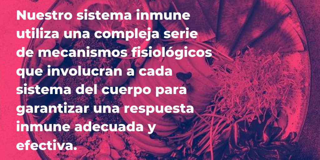 wfpb_oficial's tweet photo. #ImmunitySeries por @NakedFoodMag ✴ El sistema inmune es un mecanismo inteligente que puede responder a los cambios en el medio ambiente; sin embargo, no siempre funciona a nuestro favor y puede convertirse en la causa principal de una enfermedad.
#wfpb #plantbased #Immunity https://t.co/M7RSnLmTMc