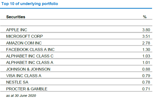 Your money is invested in the top companies in the world run by some of the world's best business leaders. A lot of these companies are household names - e.g. Apple, Amazon, Visa, Nestle.The ETF invests in over 1600 different companies, so you get massive diversification