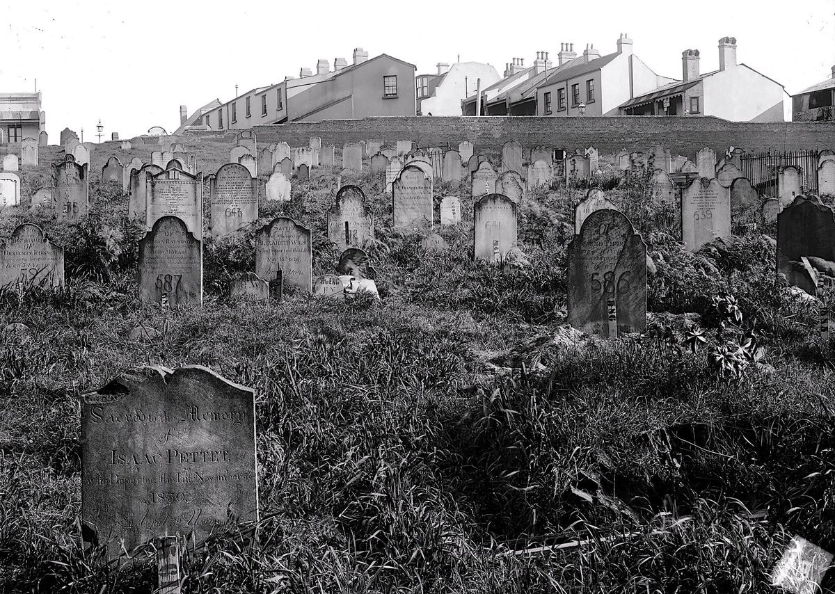 statelibrarynsw's tweet photo. #OTD in 1906 Central Railway Station in #Sydney opened. From a sprawling cemetery to one of the city's busiest transport hubs, discover the fascinating history of #CentralStation with our online story.
Read #DeadCentral here: https://t.co/3EMQ9fa8Va https://t.co/M05NQDAQAK