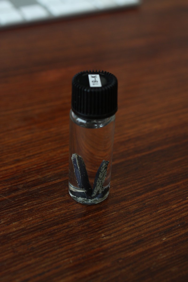 Potassium  #elementphotos. Potassium and moisture are not friends, so the best way to store it is in argon-filled ampoules. Storage under oil is more convenient but less successful at keeping it pristine (Pic 3). The white powder is KCl.