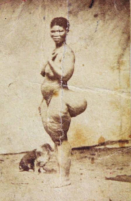 Sara's buttocks and colouring made her object of fascination by the colonists who presumed they were racially superior. She was then brought to London where she was displayed to English audience to view her half naked body displayed in a cage that was about a metre and half high