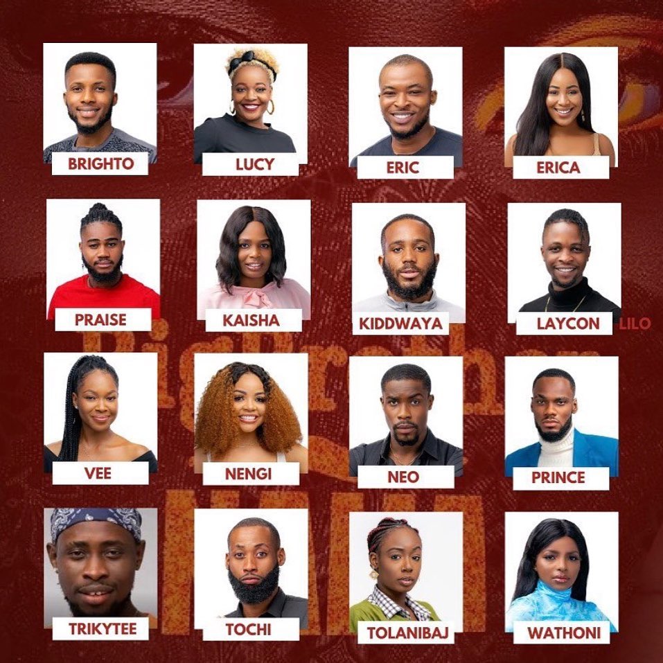 ChinaksOfLagos's tweet image. Who has your vote?

#BBNaijaLocdown2020