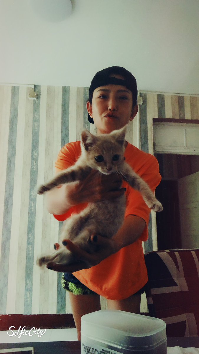 simonayan1982's tweet photo. 无聊到撩猫😋😋😋 https://t.co/FsXImpezcM