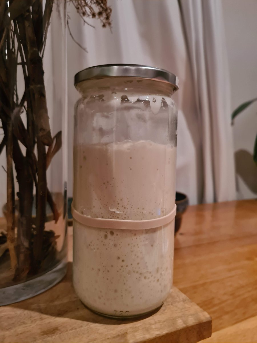 KelseyOnScience's tweet image. It is certainly not mine! Just two months old 👶
Were you baking #Sourdough before it was cool? #Lockdownloaf #IsoBaking 
Perhaps you were given some starter from a friend who got it from another friend etc etc.. The original could be quite old! Get in touch with @FermentHome