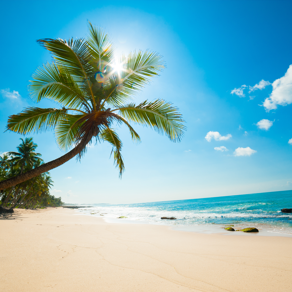 Perspirex_ES's tweet photo. Con estas temperaturas tan altas, queremos saber ¿cuáles son vuestros planes preferidos para huir del calor?
1. Escapadas en la naturaleza
2. Disfrutar de la playa https://t.co/odgX3rE59H