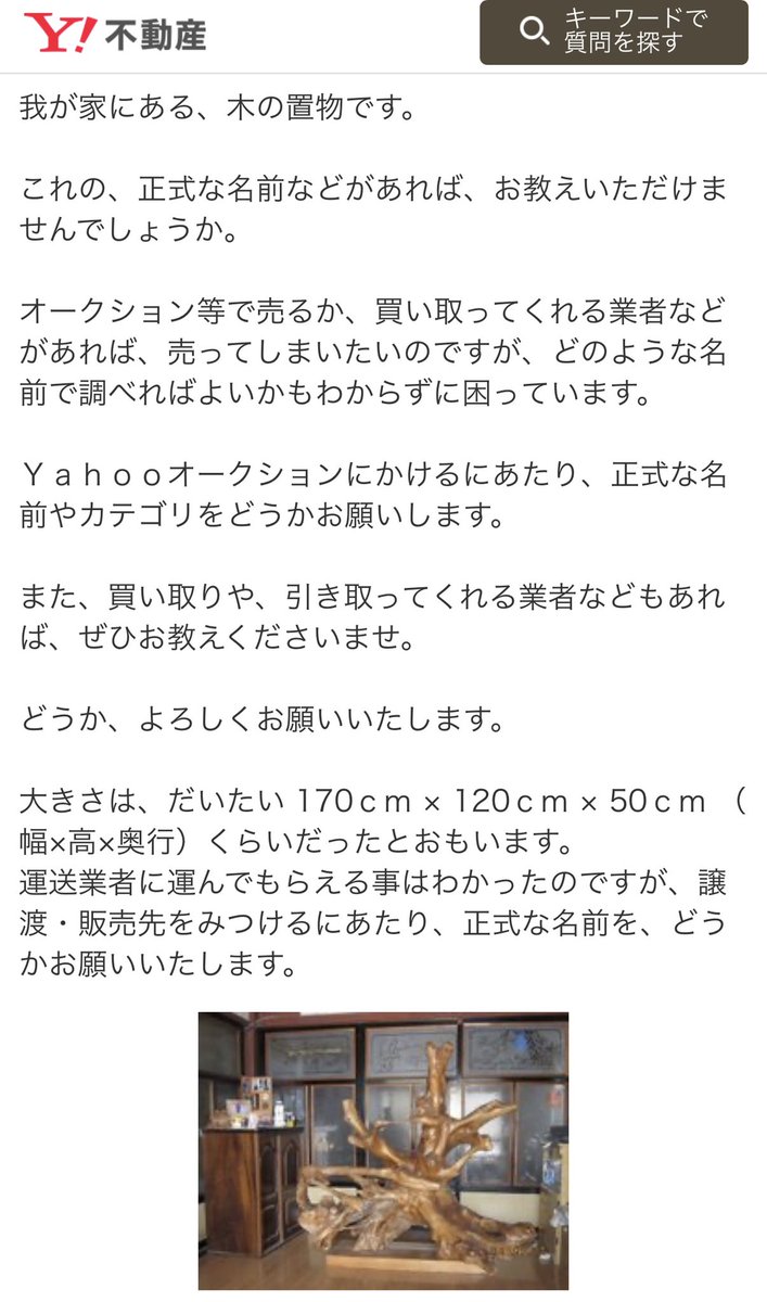 ひるち 田舎の豪農の家は玄関に 樹の大きいアレ があるよね ひるち 田舎の豪農の家は玄関に 樹の大きいアレ があるよね