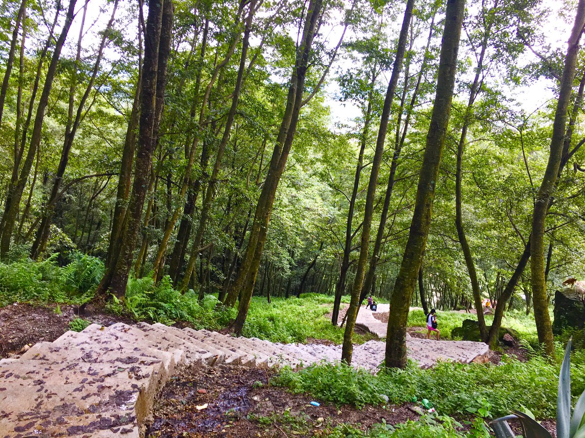 sherpakyadv's tweet photo. Natutre walk @sherpakyadv https://t.co/2V2lQRNeBG