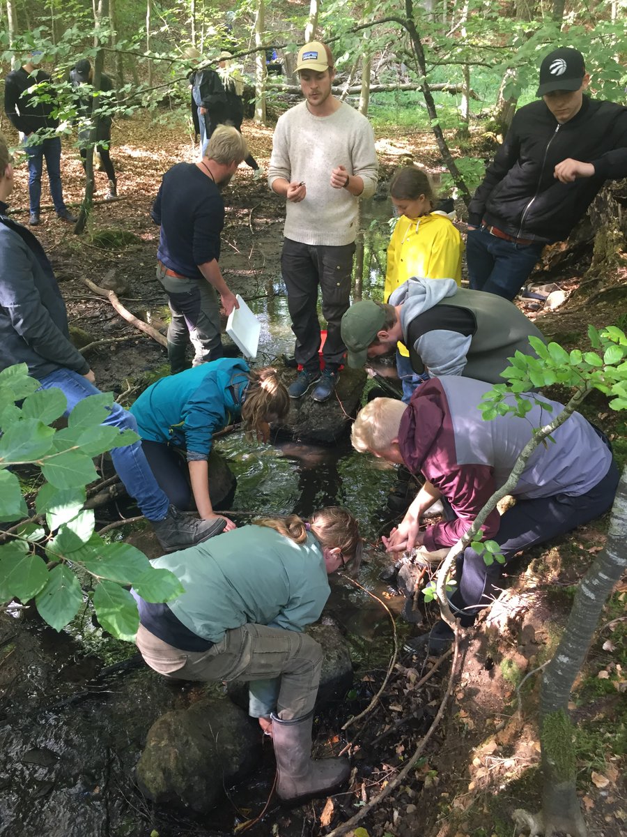 FBL_UCPH's tweet image. Impressions from last weeks field course excursion. 100 students in two large tourist busses tried their hands at limnology methods. It was great to get out of the virtual classroom and into the field. And this week we do it all again. 🙂