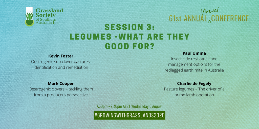 Session three of the GSSA virtual conference Growing with Grasslands will be live tomorrow night at 7:30pm AEST.
The theme is "Legumes - What are they good for?".

To register: grasslands.org.au/events/annual-…

#growingwithgrasslands2020
