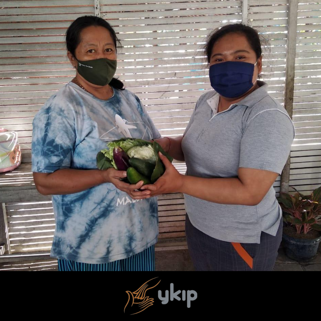 ykip_bali's tweet photo. Vegetable time! Last week, YKIP distributed 30 packages of vegetables from Annika Linden Center to the sponsored students and people who need it in our community.
#YKIP #bali #covid #support #grateful #vegetable #education #scholarship https://t.co/zmLtRgXMzQ