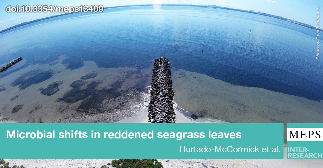 Marine Ecology Progress Series (MEPS) tweet media