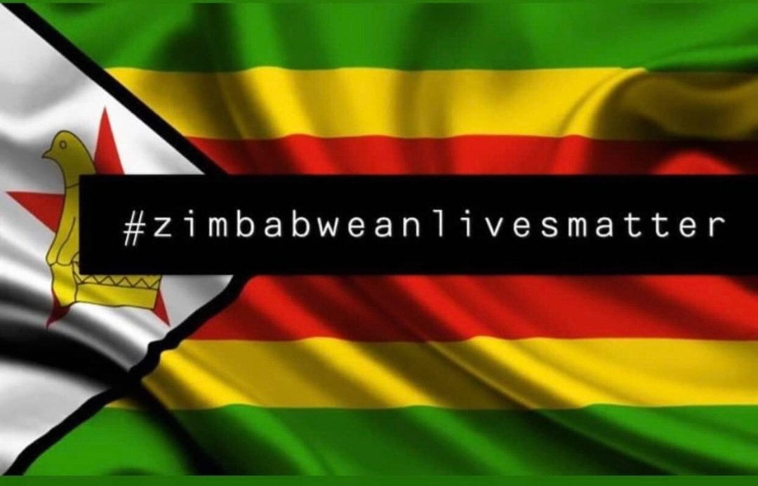 That "address" by <a href="/edmnangagwa/">President of Zimbabwe</a> was incredibly out of touch &amp; mired in the mentality of siege. 

We need new leaders. #ZimbabweanLivesMatter🇿🇼