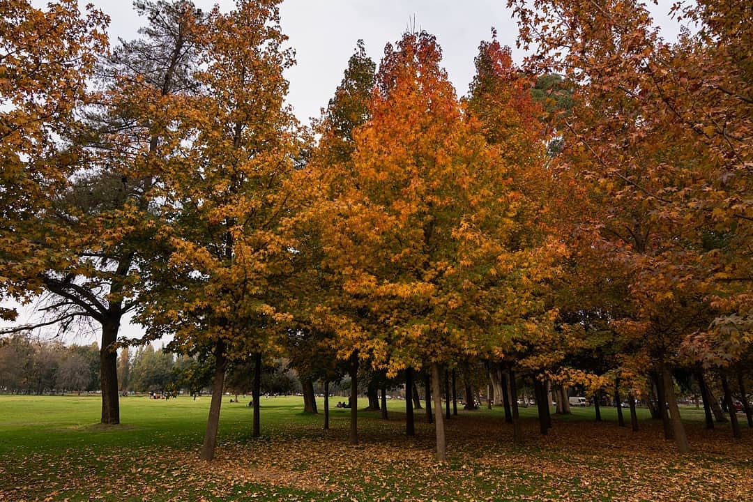 chilednorteasur's tweet photo. Parque Padre Hurtado
Instagram: m_acuna
#Chile #landscape_lovers #chilegram #paisajesdechile #chileestuyo #master_landscapes #viajeporchile #ChileTravel #ParquePadreHurtado  #Otoño #BeautifulChile #Go_Chile #ExperienceChile #intothewild #landscapelovers #MaravillasEnChile #nature https://t.co/XpwmqCYSOW