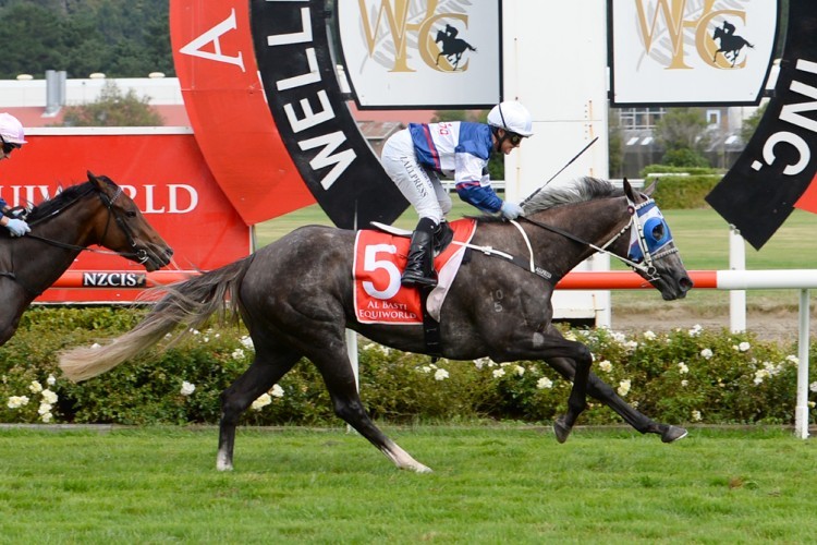 _GoRacing's tweet photo. 📰G1 NZ @ABE_Dubai Oaks winner #SentimentalMiss is heading off to Australia for a tilt at the spring features.
https://t.co/huuVt3t0YI https://t.co/fTZfudA1VM